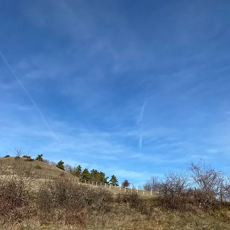 Holiday home Mitoyen Gorges De La Monne - Olloix